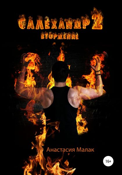 Обложка книги  «Салехандр 2. Вторжение»