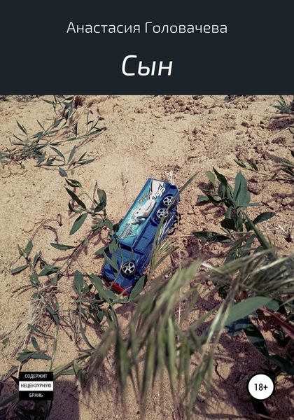 Обложка книги  «Сын»