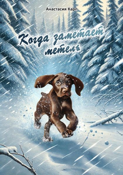 Обложка книги  «Когда заметает метель»
