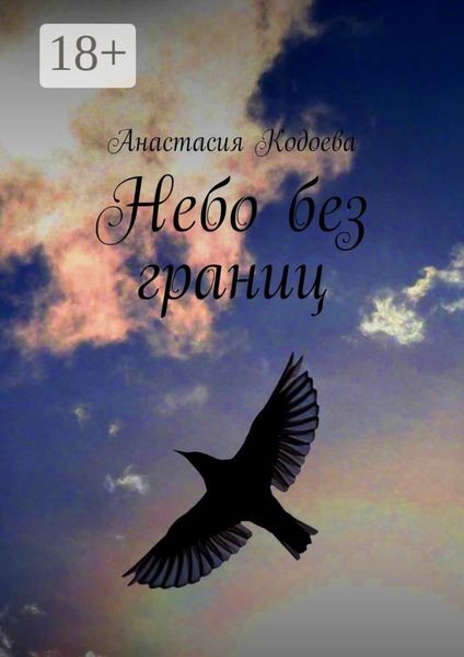 Обложка книги  «Небо без границ»