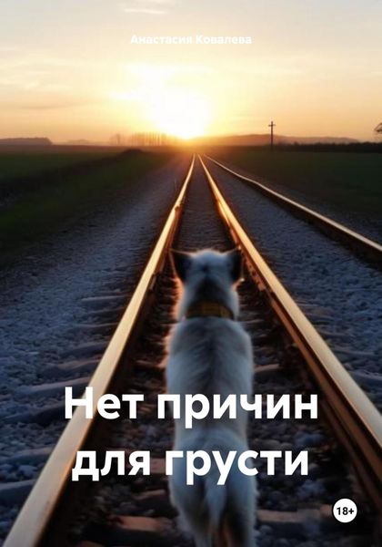 Обложка книги  «Нет причин для грусти»