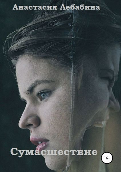 Обложка книги  «Сумасшествие»