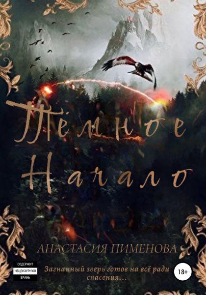 Обложка книги  «Тёмное начало»