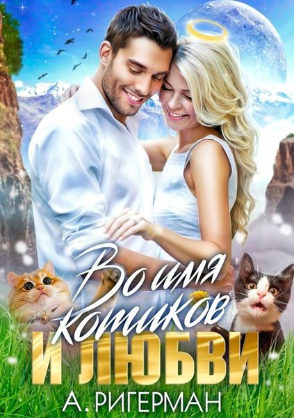 Обложка книги  «Во имя котиков и любви»