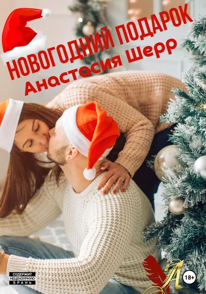 Обложка книги  «Новогодний подарок»
