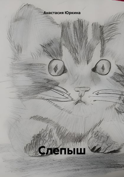Обложка книги  «Слепыш»