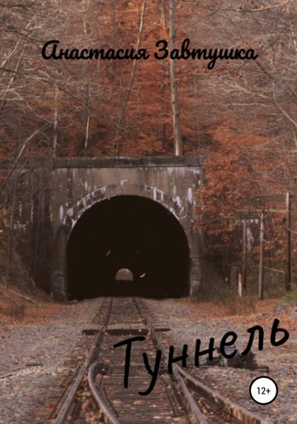 Обложка книги  «Туннель»