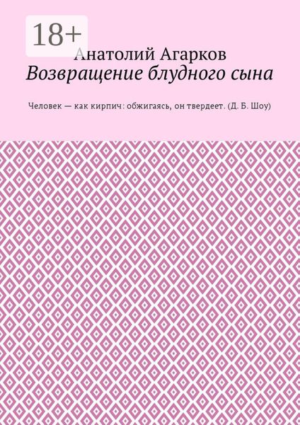 Обложка книги  «Возвращение блудного сына»