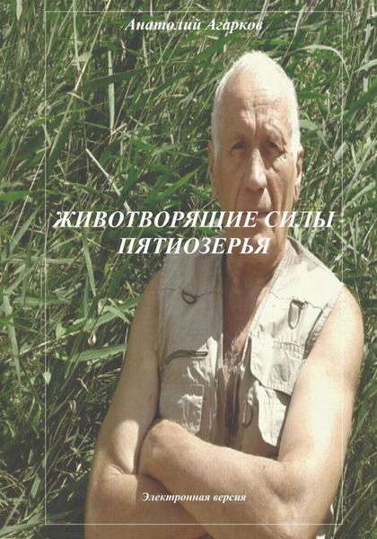 Обложка книги  «Животворящие силы Пятиозерья»