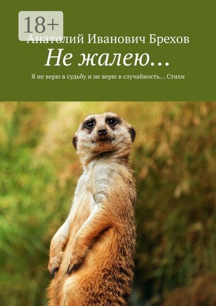 Обложка книги «Не жалею… Я не верю в судьбу и не верю в случайность… Стихи»