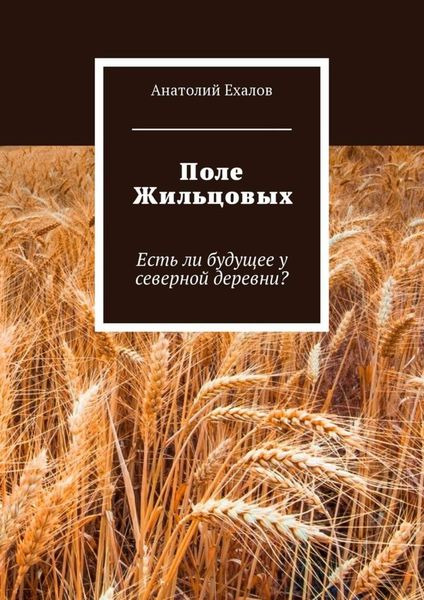 Обложка книги  «Поле Жильцовых. Есть ли будущее у северной деревни?»