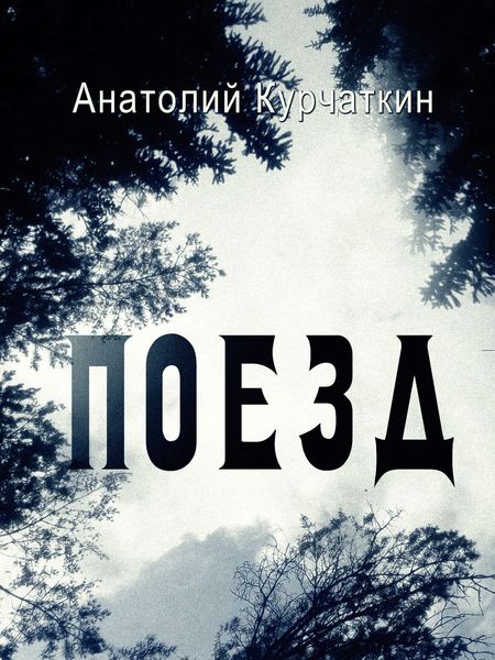 Обложка книги «Поезд»