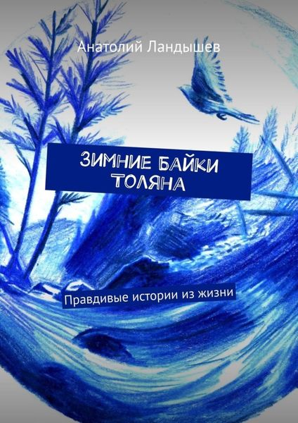 Обложка книги  «Зимние байки Толяна. Правдивые истории из жизни»