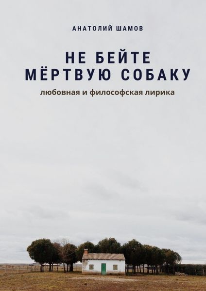 Обложка книги  «Не бейте мёртвую собаку. Любовная и философская лирика»