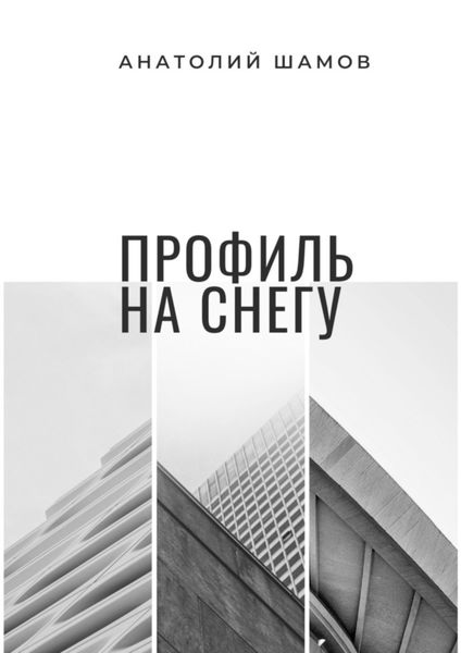 Обложка книги  «Профиль на снегу. Философская и любовная лирика»
