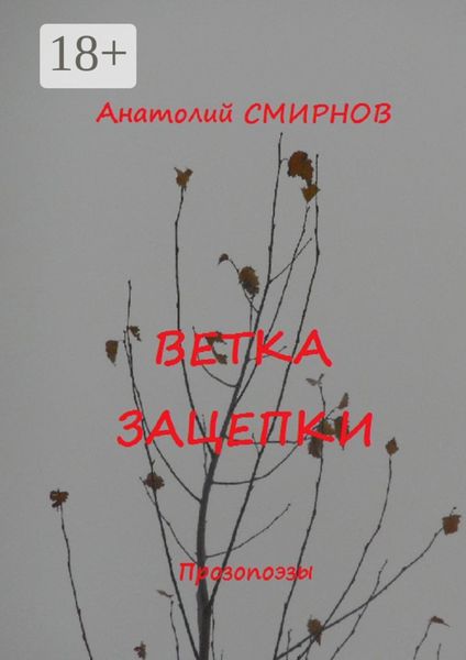 Обложка книги «Ветка зацепки. Прозопоэзы»