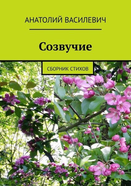 Обложка книги  «Созвучие. Сборник стихов»