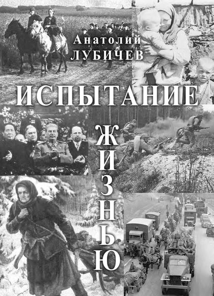 Обложка книги «Испытание жизнью»