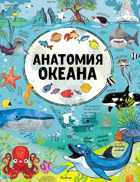 Обложка книги  «Анатомия океана»