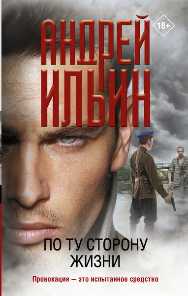 Обложка книги  «По ту сторону жизни»