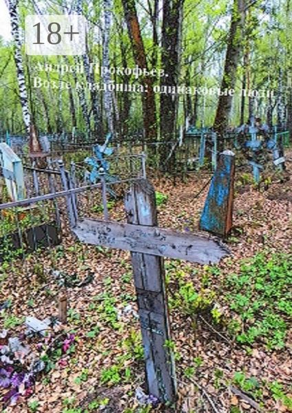 Обложка книги  «Возле кладбища: одинаковые люди»