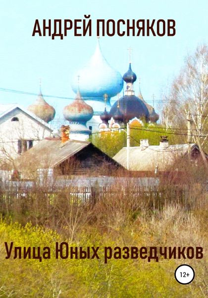 Обложка книги  «Улица Юных разведчиков»