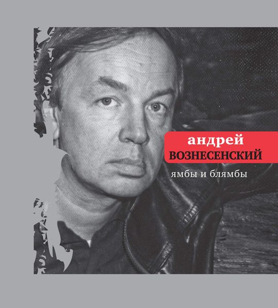 Обложка книги  «Ямбы и блямбы»