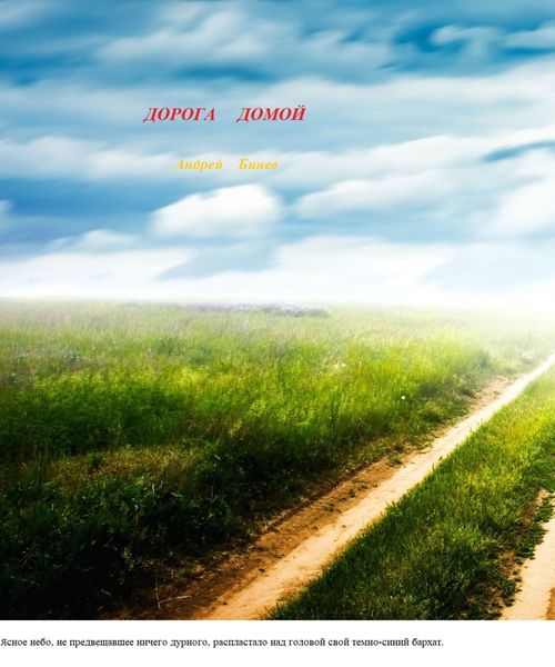 Обложка книги  «Дорога домой»