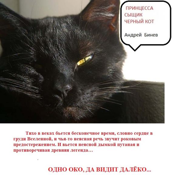 Обложка книги «Принцесса, сыщик и черный кот»