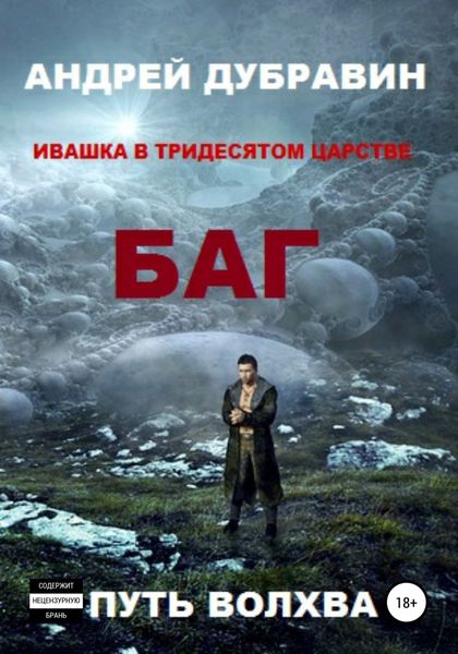Обложка книги  «БАГ»