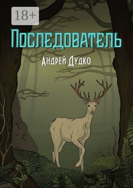 Обложка книги  «Последователь»