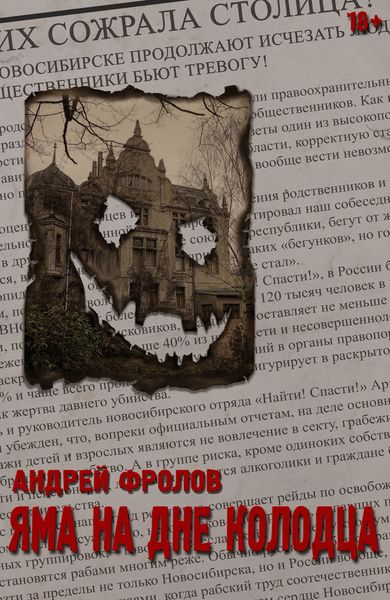 Обложка книги  «Яма на дне колодца»