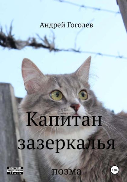 Обложка книги «Капитан зазеркалья»