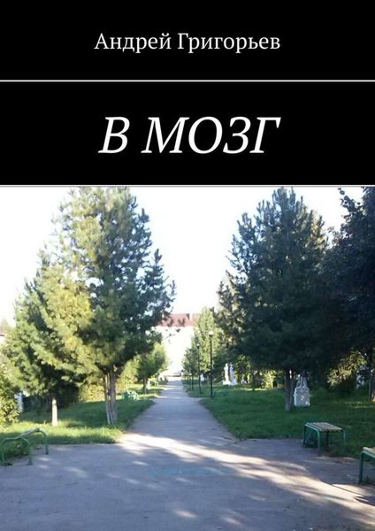Обложка книги «В мозг»