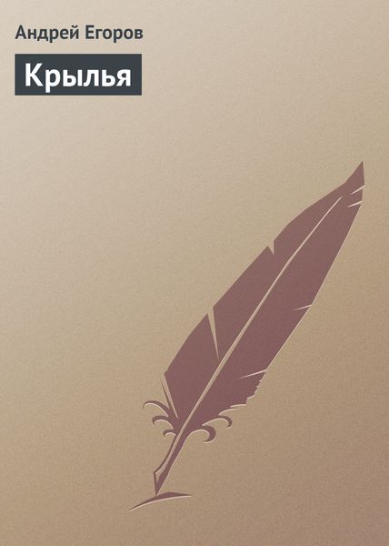 Обложка книги  «Крылья»