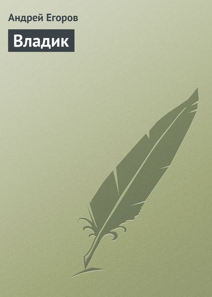 Обложка книги  «Владик»