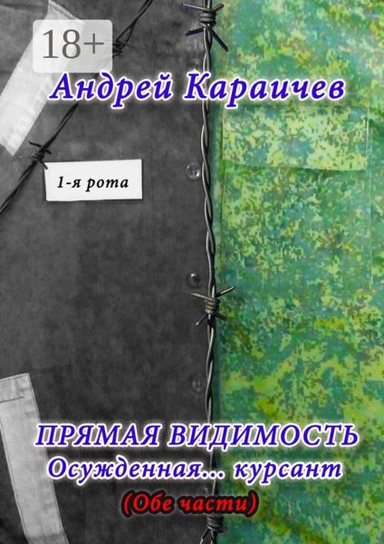 Обложка книги  «Прямая видимость. Осужденная… курсант»