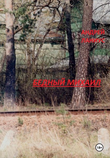 Обложка книги «Бедный Михаил»