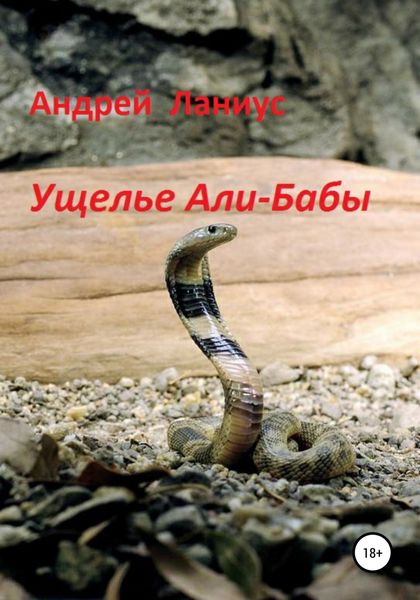 Обложка книги  «Ущелье Али-Бабы»