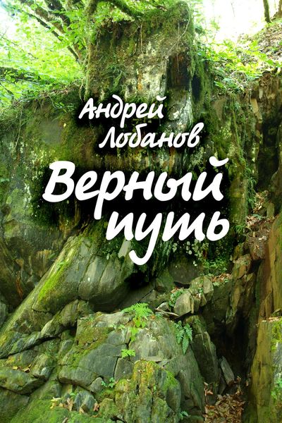 Обложка книги «Верный путь»