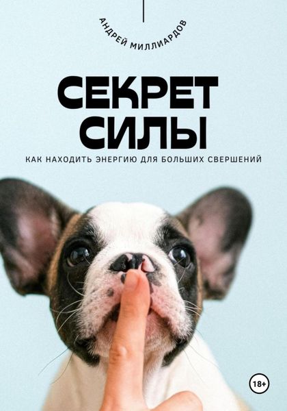 Обложка книги  «Секрет силы. Как находить энергию для больших свершений»