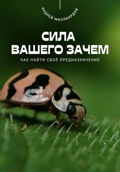 Обложка книги  «Сила вашего Зачем. Как найти своё предназначение»
