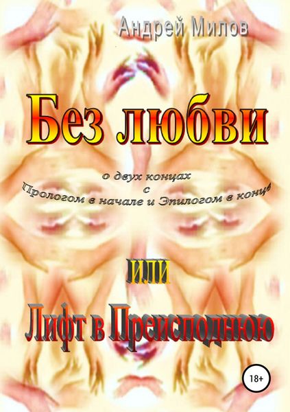 Обложка книги  «Без любви, или Лифт в Преисподнюю»
