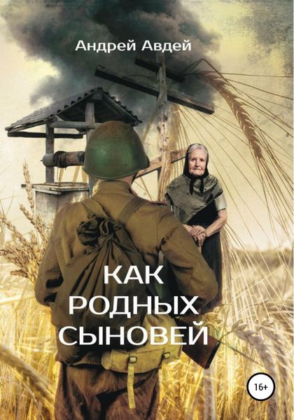 Обложка книги «Как родных сыновей»