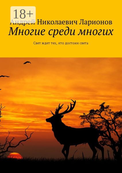 Обложка книги «Многие среди многих. Свет ждет тех, кто достоин света»