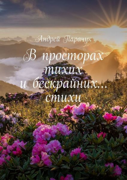 Обложка книги «В просторах тихих и бескрайних… стихи»
