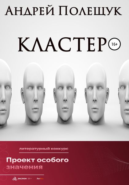 Обложка книги  «Кластер»