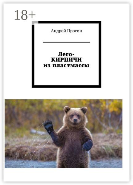 Обложка книги  «Лего-КИРПИЧИ из пластмассы»