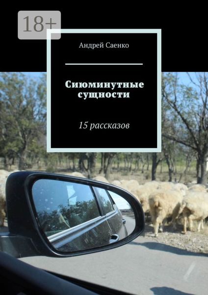 Обложка книги «Сиюминутные сущности. 15 рассказов»