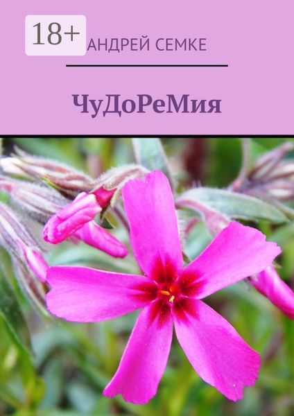 Обложка книги  «ЧуДоРеМия»